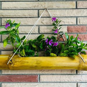 bamboo-single-layer-hanging-planter